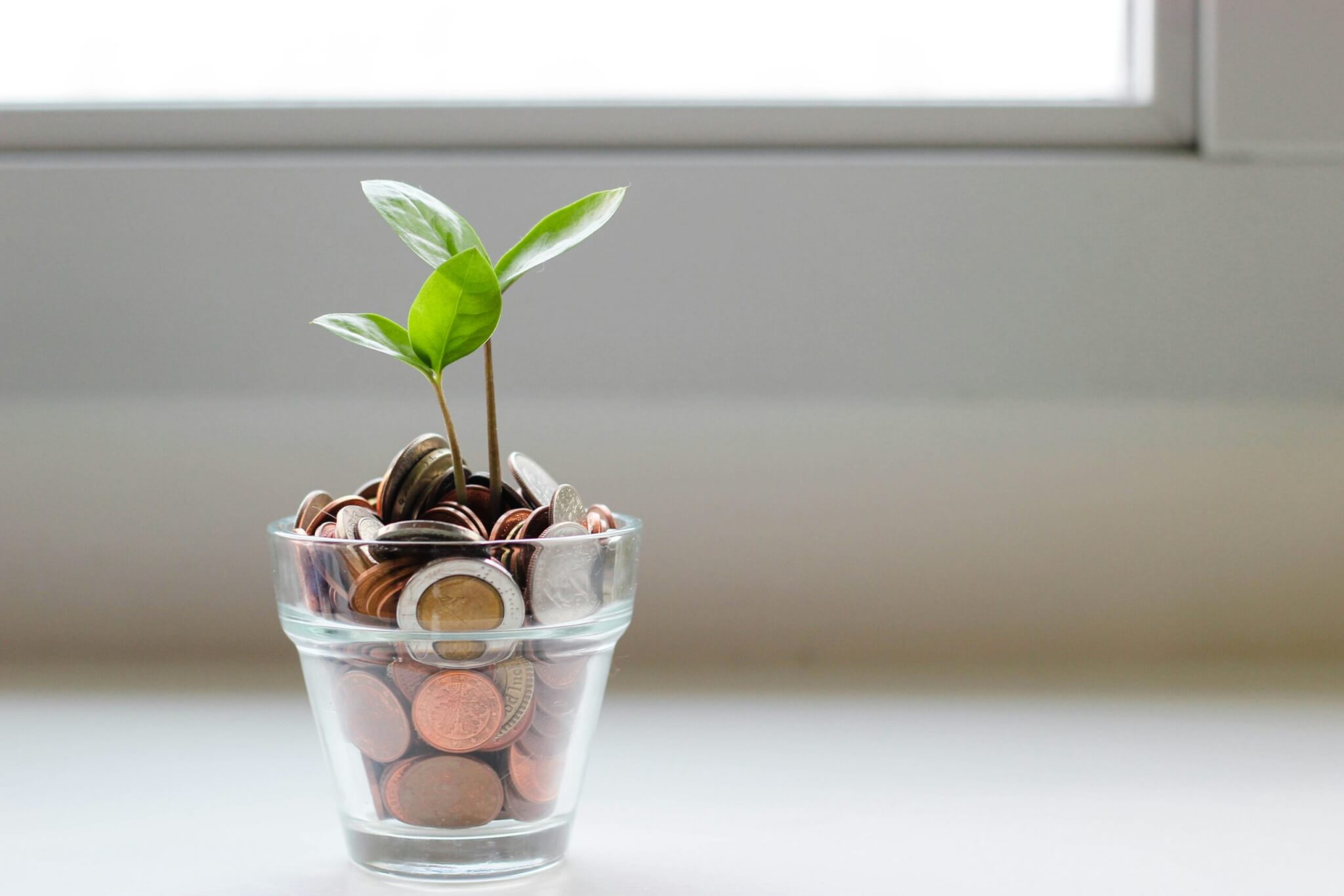 Five Easy Steps to Building Your Emergency Fund