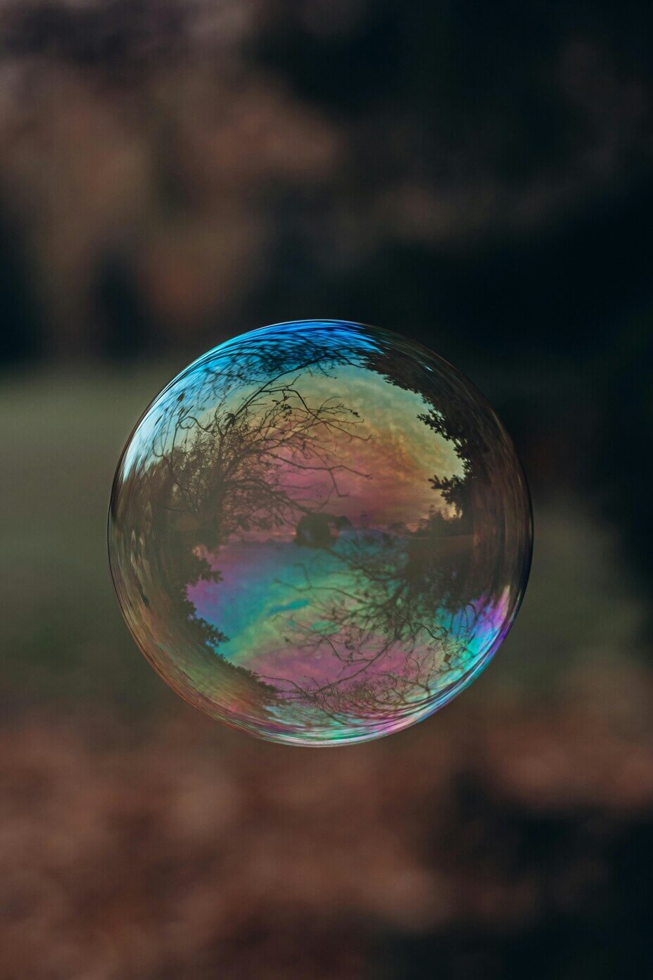 Market Bubble