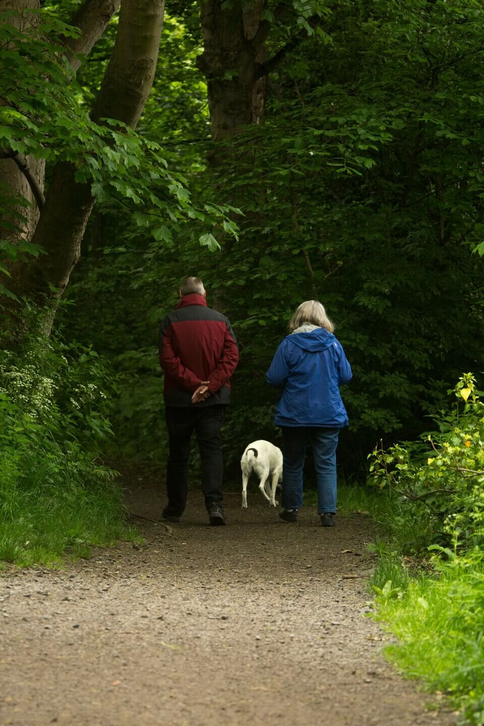 You’re About to Retire: Here are 7 Tips to Stay Independent
