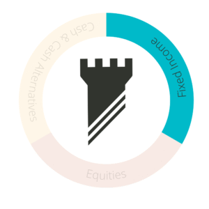 A circular chart shows four investment categories. Fixed Income is highlighted in teal, while Cash & Cash Alternatives, Equities, and Alternatives are in pale colors. A black rook chess piece is centered inside the chart.